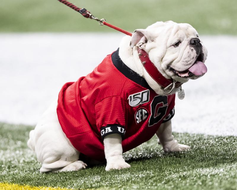 Looking for a Unique Gift: 15 Reasons to Buy a Georgia Bulldogs Football Jersey
