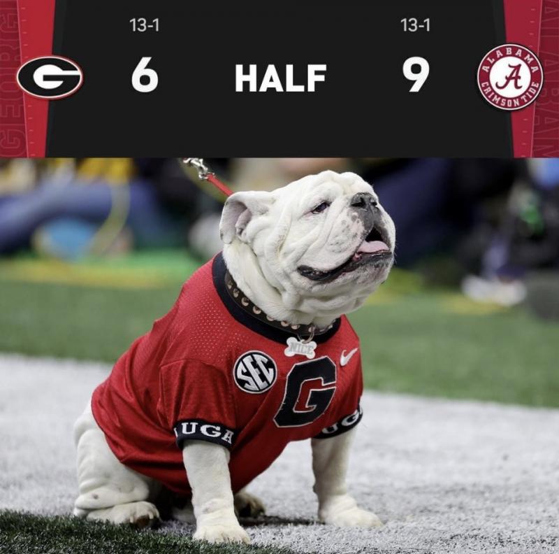 Looking for a Unique Gift: 15 Reasons to Buy a Georgia Bulldogs Football Jersey
