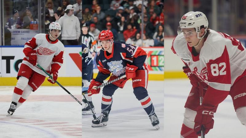 Looking for a Yzerman Jersey: 15 Tips for Finding the Perfect Red Wings Sweater