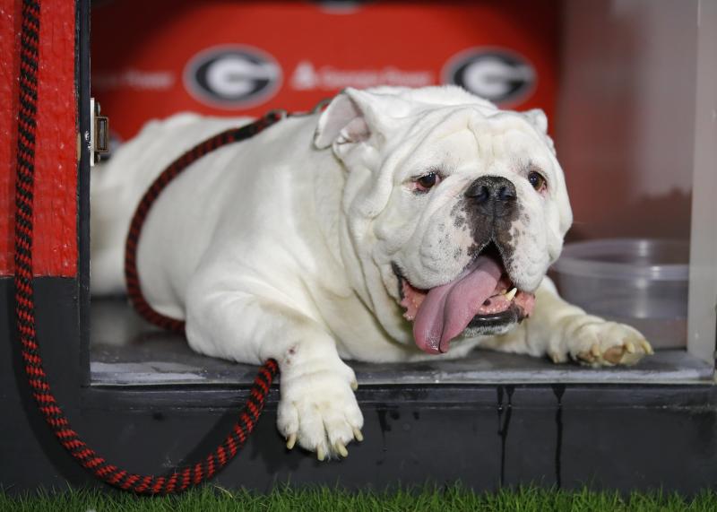 Looking for an Official UGA Lanyard: 15 Ways Bulldog Fans Show Their Pride