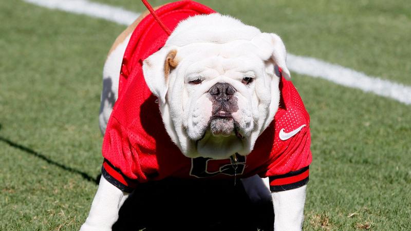 Looking for an Official UGA Lanyard: 15 Ways Bulldog Fans Show Their Pride