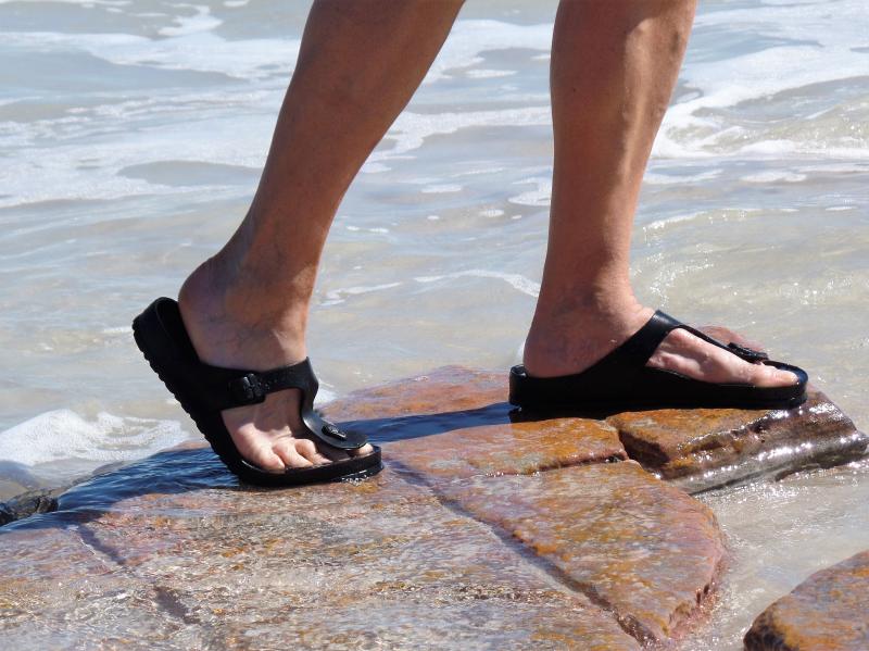 Looking for Barbados Eva Sandals: Are Birkenstock Barbados Eva Sandals Right for You