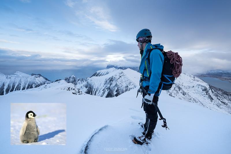 Looking for Better Comfort on the Trail This Year. Discover the Top 15 Elastic Waist Hiking Pants