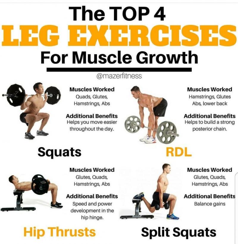 Looking for Better Squats and Deadlifts. Find the Best Weightlifting Pants