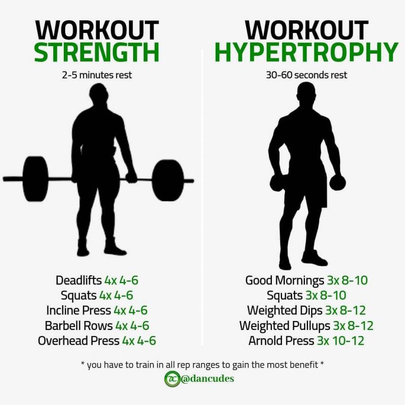 Looking for Better Squats and Deadlifts. Find the Best Weightlifting Pants