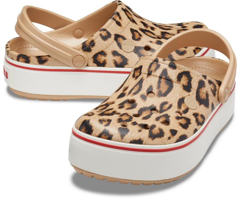 Looking for Cheetah Print Brooks. Check Out These Stylish Brooks Shoes with Leopard Print: The Top 15 Brooks Cheetah and Leopard Print Shoes Women Will Love