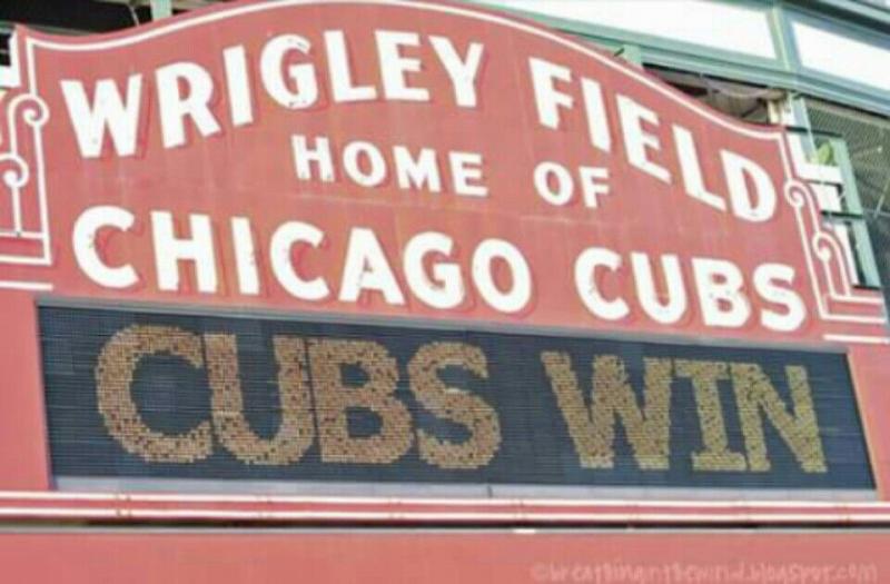 Looking for Chicago Cubs Bracelets This Year. Find Out in 15 Ways