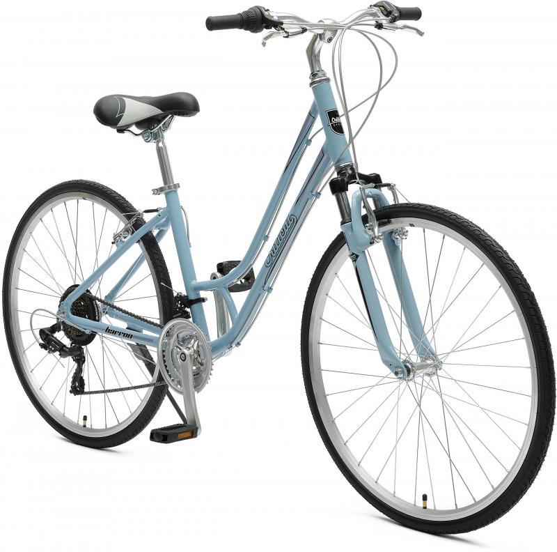 Looking for Comfort on Two Wheels. Consider the Nishiki Women