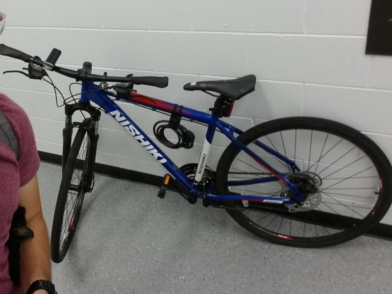 Looking for Comfort on Two Wheels. Consider the Nishiki Women