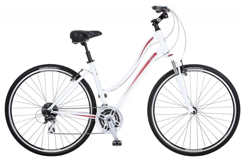 Looking for Comfort on Two Wheels. Consider the Nishiki Women