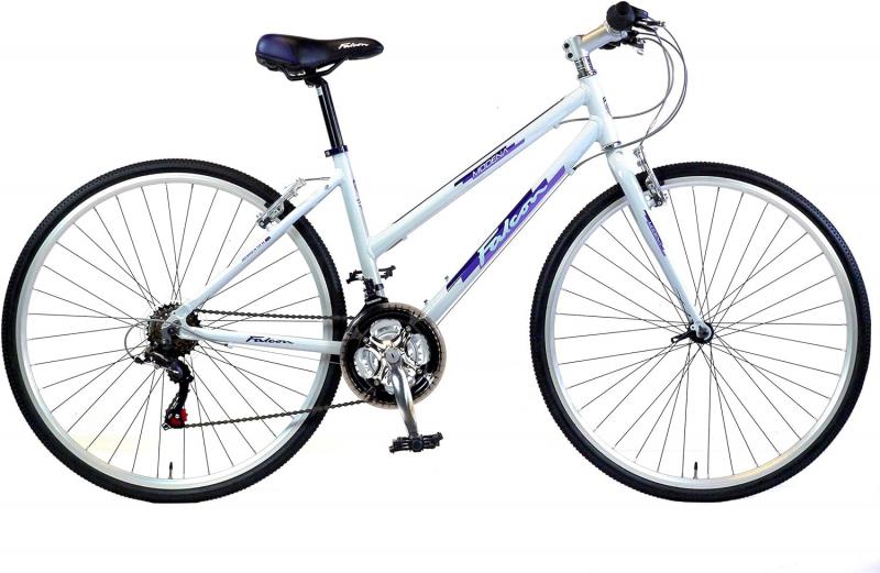 Looking for Comfort on Two Wheels. Consider the Nishiki Women