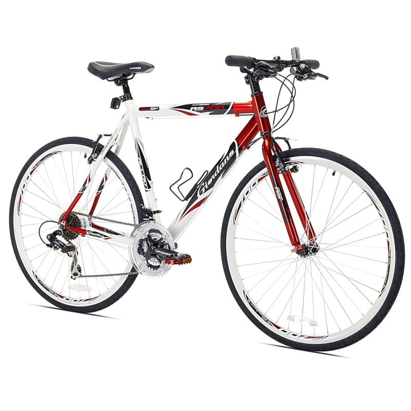 Looking for Comfort on Two Wheels. Consider the Nishiki Women