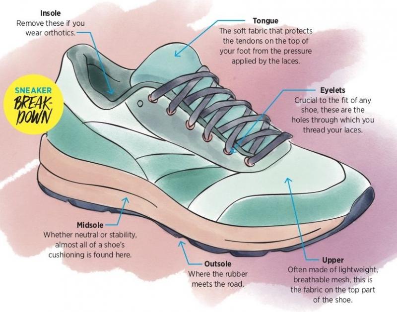 Looking for Comfortable Shoes to Wear to The Gym. Find Out Which Ones to Pick
