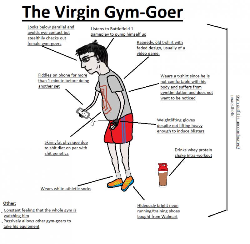 Looking for Comfortable Shoes to Wear to The Gym. Find Out Which Ones to Pick