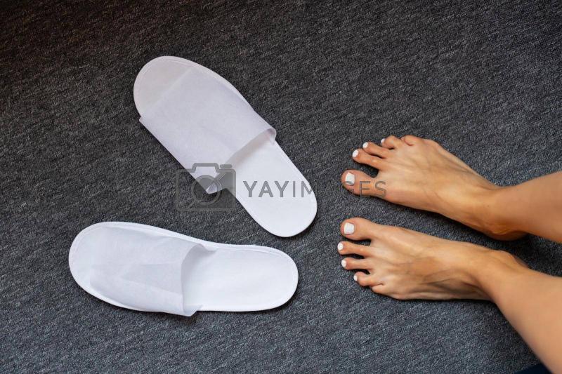 Looking for Cozy Slippers Nearby. Find the Perfect Pair with Our Guide