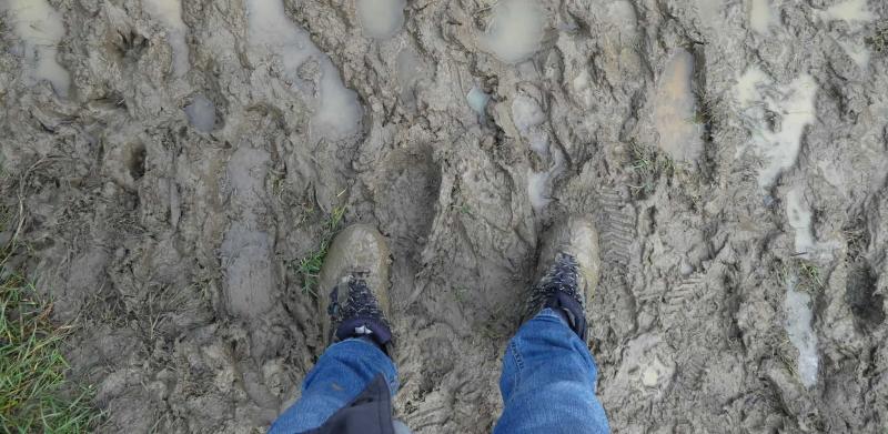 Looking for Dry Feet on the Job: The 15 Best Waterproof Ankle Deck Boots for Tough Conditions