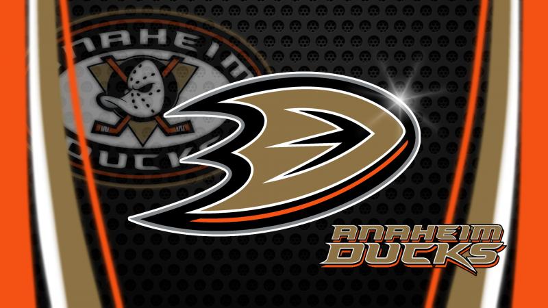 Looking for Ducks Gear Nearby: 15 Ways to Get Official Anaheim Ducks Apparel for Diehard Hockey Fans