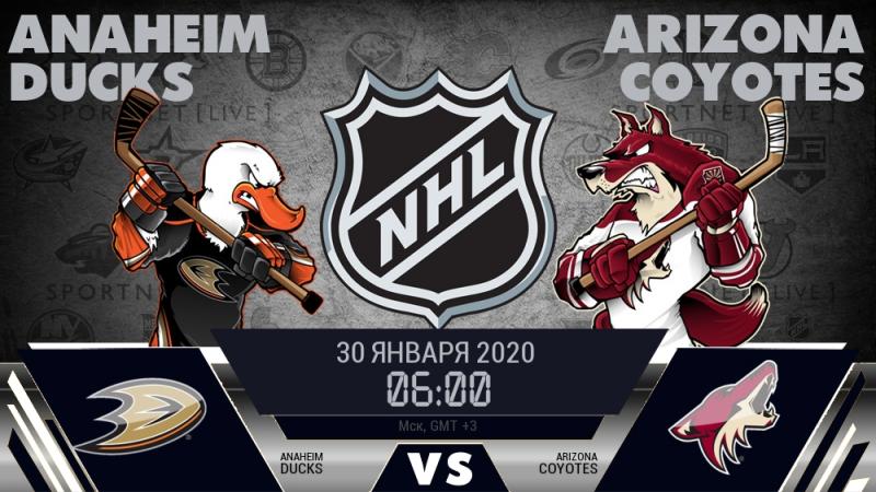 Looking for Ducks Gear Nearby: 15 Ways to Get Official Anaheim Ducks Apparel for Diehard Hockey Fans