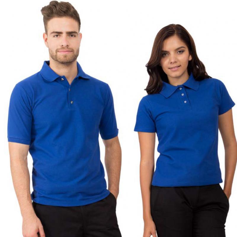 Looking for Duke Polos: Explore Top Options Here