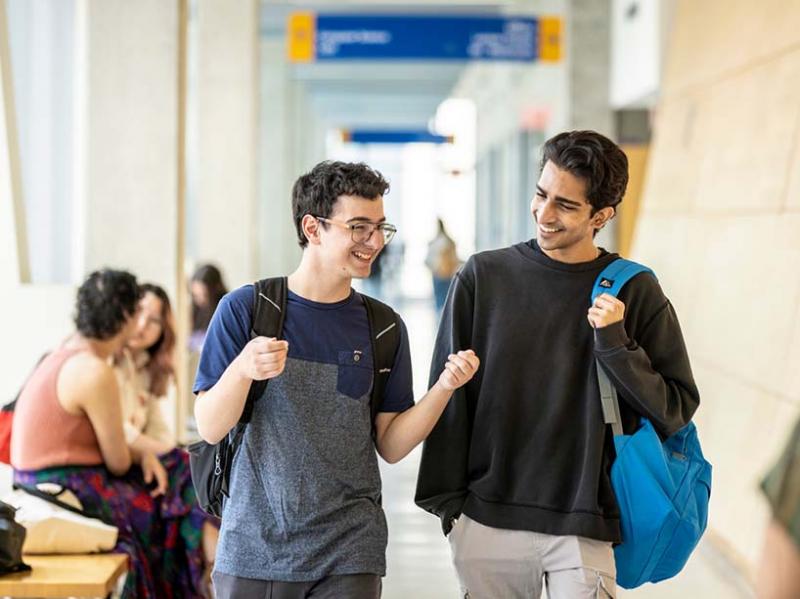 Looking For Gaucho Gear this School Year: Discover the Top 10 Shops for UCSB Apparel For 2023