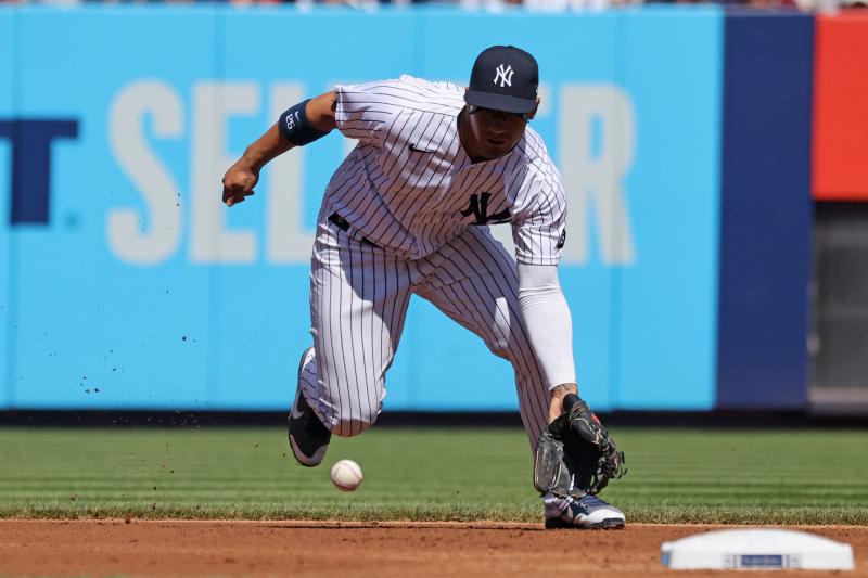 Looking for Gleyber Torres Apparel Online. Here Are 15 Popular Options