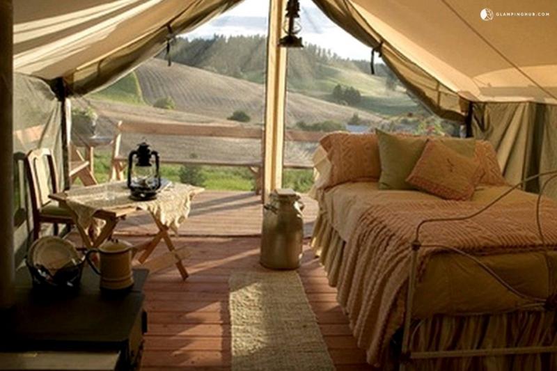 Looking for Inexpensive Tents This Year. Discover Where to Find the Best Deals on Cheap Tents Near You