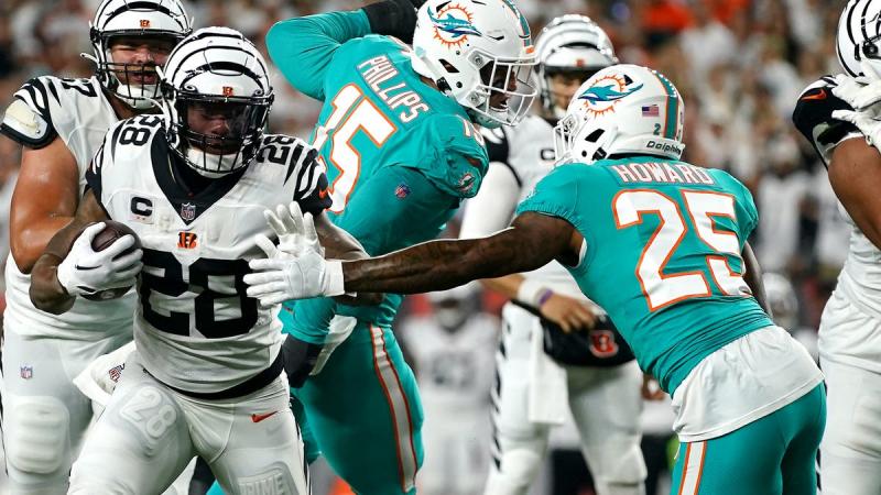 Looking for Miami Dolphins Youth Gear This Season. Check Out These 15 Must-Have Items