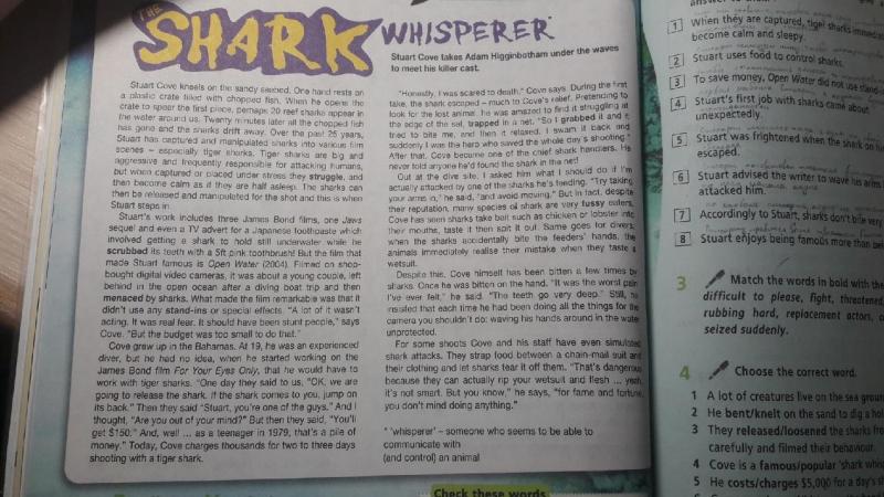 Looking For More Ways to Show Your Giants Pride This Year. Try These 15 New York Giants Lanyard Ideas