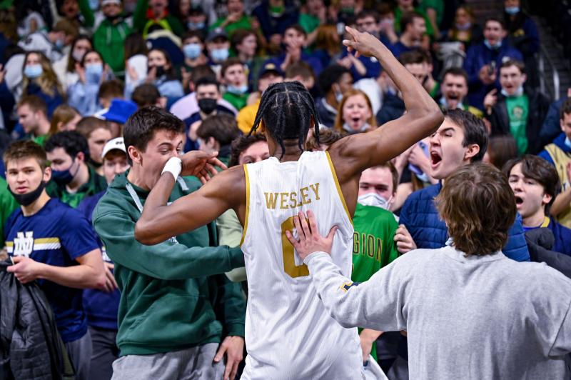 Looking for New Fighting Irish Gear. Check Out These 15 Must-Have Notre Dame Items