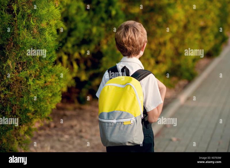 Looking for Perfect Kids