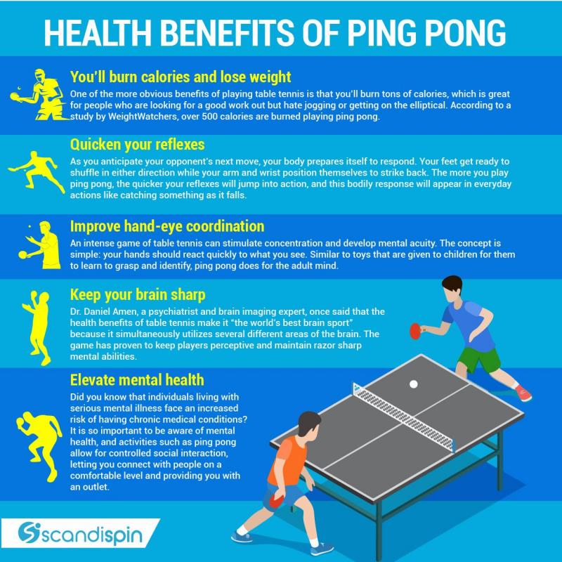 Looking For Ping Pong Gear Nearby. How To Easily Get Started With Table Tennis This Year