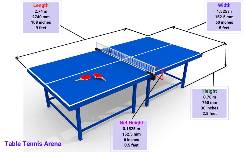 Looking For Ping Pong Gear Nearby. How To Easily Get Started With Table Tennis This Year