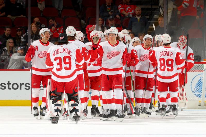 Looking For Red Wing Jerseys Cheap: The 15 Best Places To Find Affordable Detroit Hockey Gear