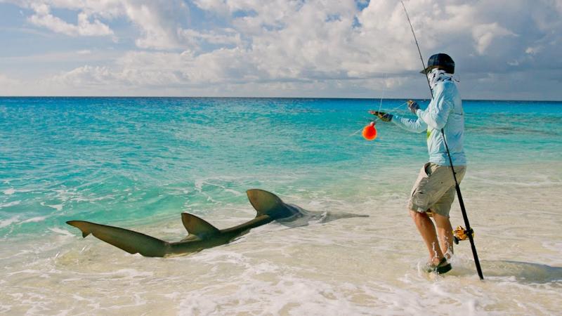 Looking for Surf Fishing Gear This Year. : Discover the Best Surf Rods Near You Now