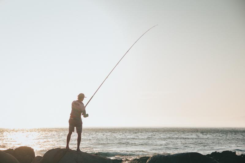 Looking for Surf Fishing Gear This Year. : Discover the Best Surf Rods Near You Now