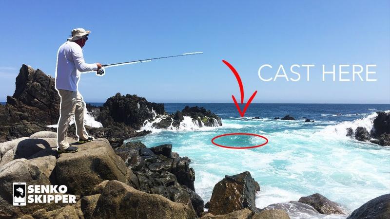 Looking for Surf Fishing Gear This Year. : Discover the Best Surf Rods Near You Now