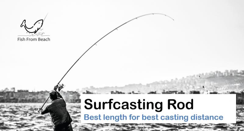 Looking for Surf Fishing Gear This Year. : Discover the Best Surf Rods Near You Now