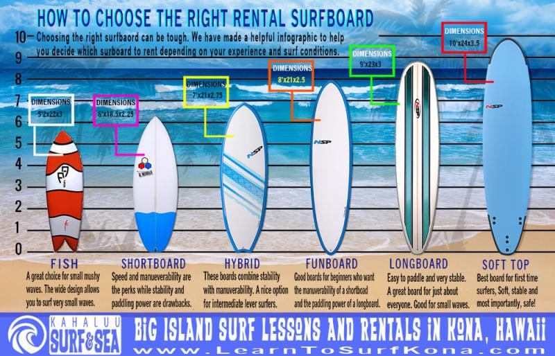 Looking for Surf Fishing Gear This Year. : Discover the Best Surf Rods Near You Now