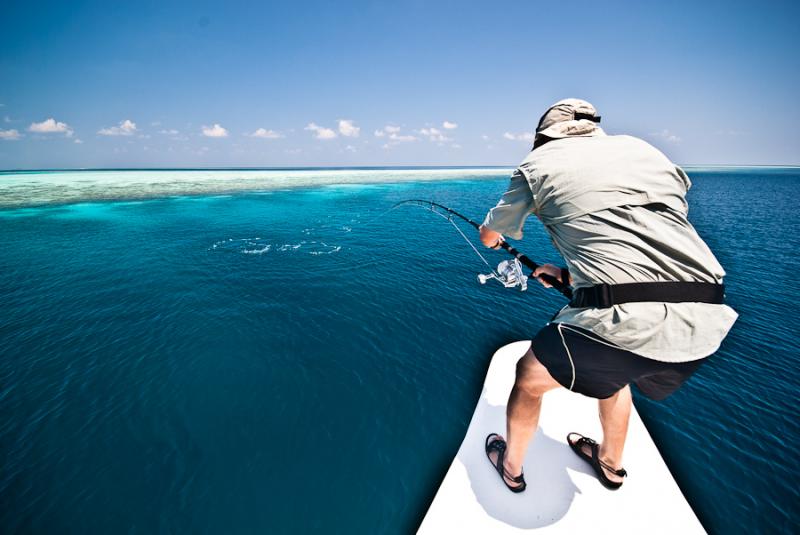 Looking for Surf Fishing Gear This Year. : Discover the Best Surf Rods Near You Now