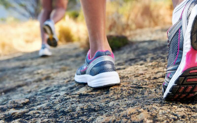 Looking for the Best Adidas Running Shoes for Women. Find Out What You Need in Our Guide