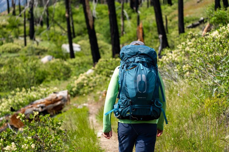 Looking for the Best Backpack for Hiking the High Sierra this Year. 15 Must-Have Features to Consider