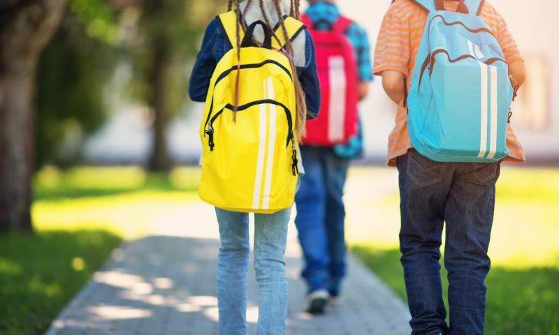 Looking for The Best Backpack for School or Work in 2022