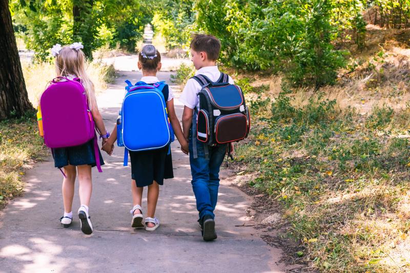 Looking for The Best Backpack for School or Work in 2022