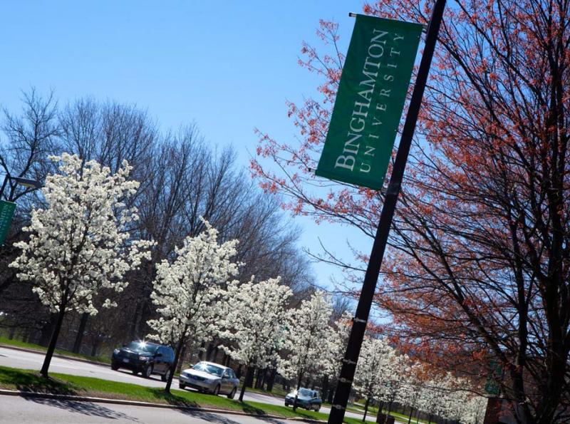 Looking for the Best Binghamton University Gear & Apparel: 15 Must-Have Items for 2023
