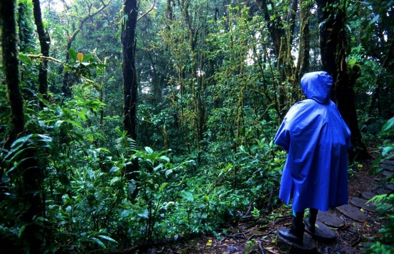 Looking for The Best Blue Rain Jacket This Year: Discover Our Top Picks for Staying Dry in 2023