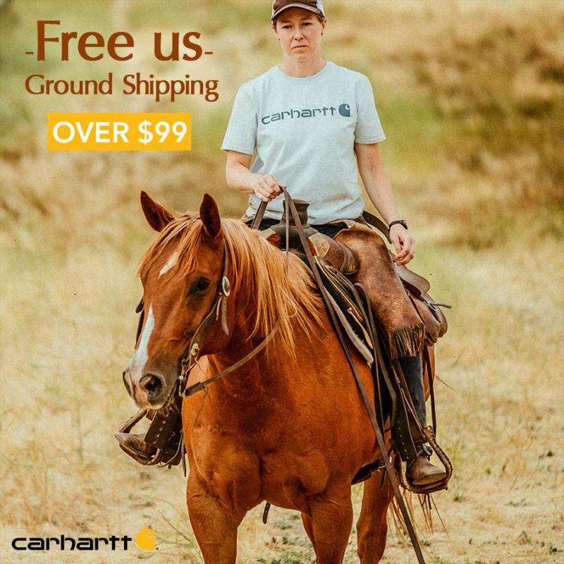 Looking for the Best Carhartt Force Pullover: Here Are 15 Features to Compare