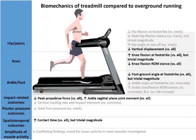 Looking for the Best Deal on a Sole F80 Treadmill. Consider These 15 Tips Before You Buy