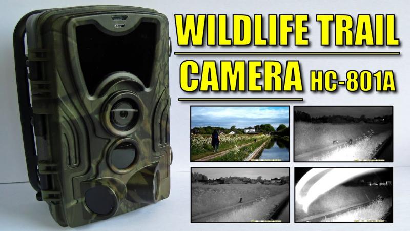 Looking for the Best Deals on Game Cameras this Year: Discover Where to Find Hot Sales on Trail Cams Now