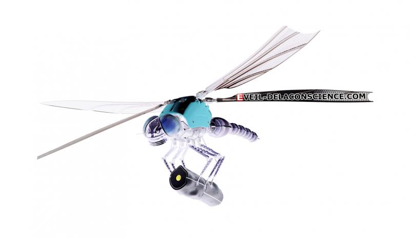 Looking For The Best Dragonfly Lacrosse Shaft. See Our Top Picks Here
