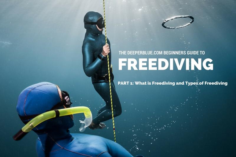 Looking for the Best Fins for Scuba Diving. Find Out Why Trek Fins Are All The Rave This Year